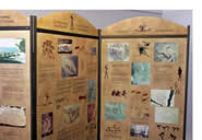 Old Library Museum, Graaff-Reinet