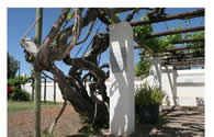 Reinet House Museum, Graaff-Reinet